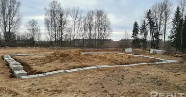 Plot of land in Pryharadny sielski Saviet, Belarus