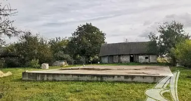 House in Lyscycki sielski Saviet, Belarus