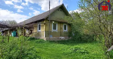 House in Lebedevo, Belarus