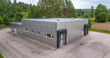 Gewerbefläche 594 m² in Vaitkuskis, Litauen
