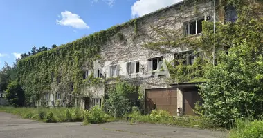 Manufacture 2 407 m² in Livani, Latvia