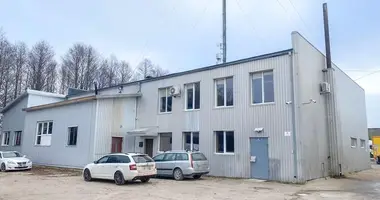 Коммерческое помещение 590 м² в Mazonai, Литва