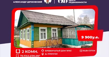 2 room house in Mirski sielski Saviet, Belarus