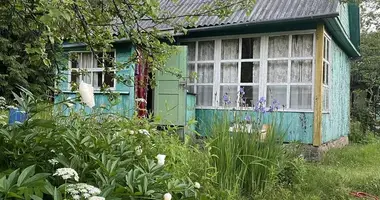 House in Radaskovicki sielski Saviet, Belarus