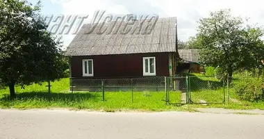 House in Zhabinka, Belarus