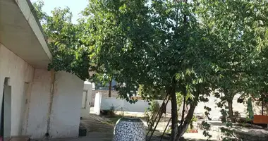 House in Khanabad, Uzbekistan