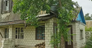Dom w Ziabrauski sielski Saviet, Białoruś