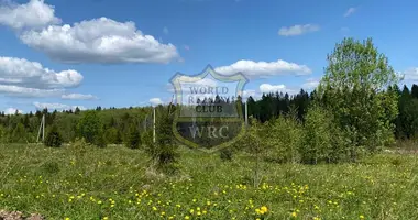 Terrain dans Volokolamsky District, Fédération de Russie