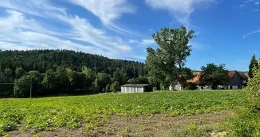 Mieszkanie w Lassnitzthal, Austria