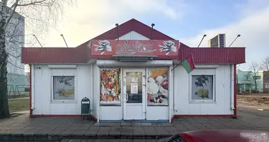 Geschäft 95 m² in Usda, Belarus