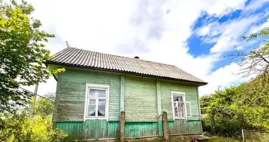 Casa en Holacki siel ski Saviet, Bielorrusia