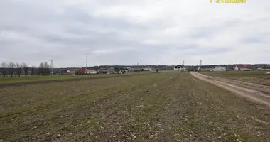 Grundstück in Piekalin, Belarus