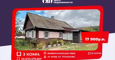3 room house in Ilya, Belarus