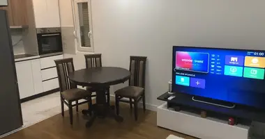 Wohnung 1 Schlafzimmer in Montenegro