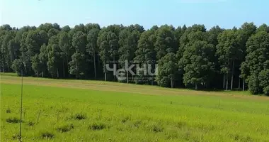 Terrain dans Shakhunya Urban Okrug, Fédération de Russie