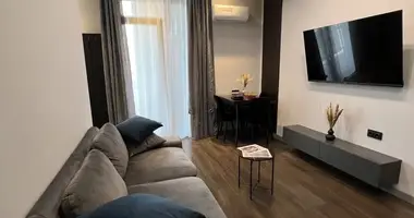 1 Bedroom Apartment for Rent in Tbilisi in Tiflis, Georgien