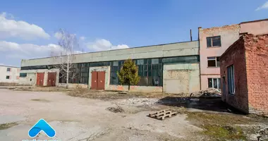 Zakład produkcyjny 3 373 m² w Dobrusz, Białoruś