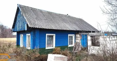 House in Isiernski sielski Saviet, Belarus