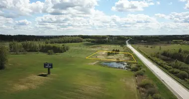 Plot of land in Varniskes, Lithuania