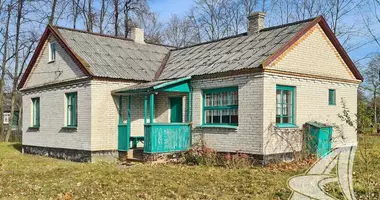 Dom w Navasiolkauski sielski Saviet, Białoruś
