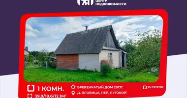 Dom w Zodzinski siel ski Saviet, Białoruś