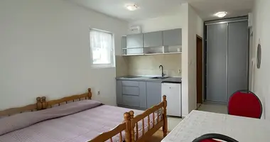 Appartement 1 chambre avec obschestvennaya parkovka public parking dans Becici, Monténégro