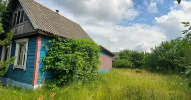 Haus in Barscouski siel ski Saviet, Weißrussland