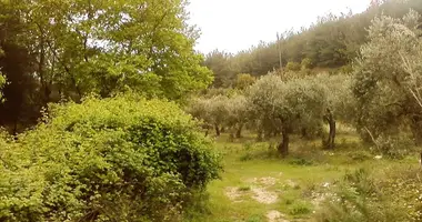 Parcela en Kavala Prefecture, Grecia