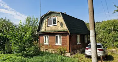 House in Rakauski sielski Saviet, Belarus