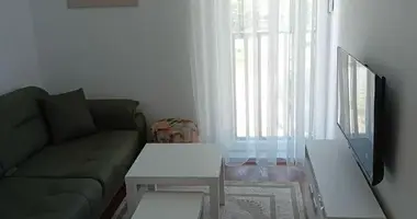 Apartamento 1 habitacion en Montenegro