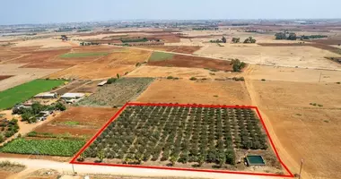 Plot of land in Avgorou, Cyprus