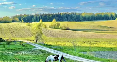 Дом в Ждановичский сельский Совет, Беларусь