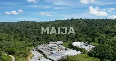 Produktion 4 340 000 m² in Gaspar Hernandez, Dominikanischen Republik