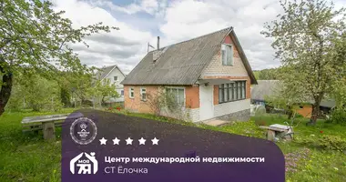 House in Krasnienski sielski Saviet, Belarus