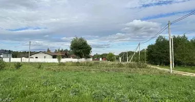 Plot of land in Putcynski sielski Saviet, Belarus