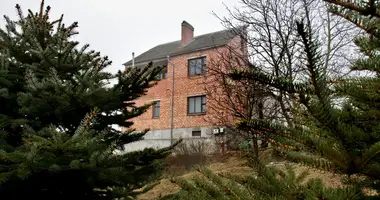 Cottage in Piatryskauski sielski Saviet, Belarus