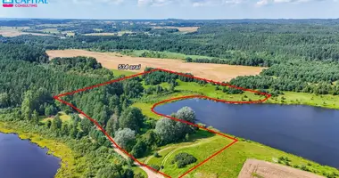 Działka w Gudzionys, Litwa