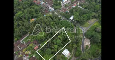 Plot of land in Sayan, Indonesia