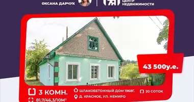 House in Krasnaye, Belarus
