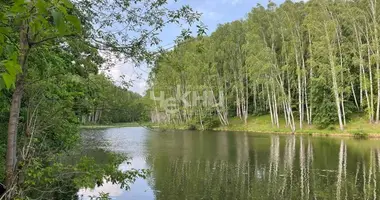 Działka w Vorotynets, Rosja