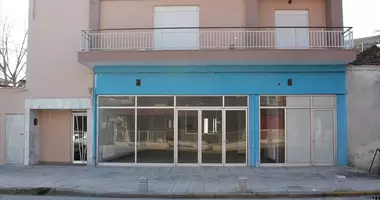 Propiedad comercial 140 m² en Ganochora, Grecia