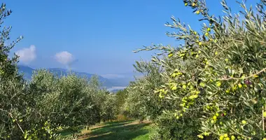 Plot of land in Motovun, Croatia