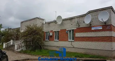 Gewerbefläche 350 m² in Pastawy, Weißrussland