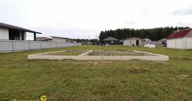 House in cudzienicy, Belarus