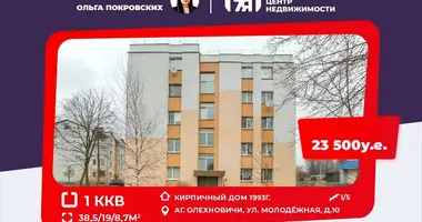 Квартира 1 комната в Олехновичи, Беларусь