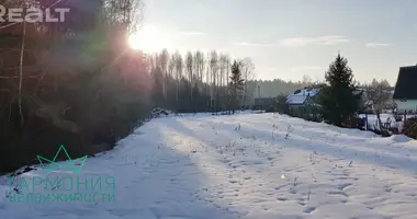 Parcela en Kalodziscanski sielski Saviet, Bielorrusia