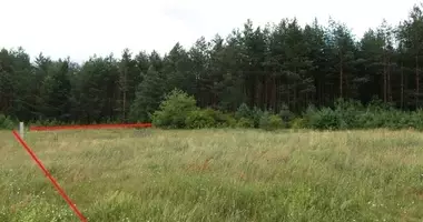Plot of land in Vieciunai, Lithuania