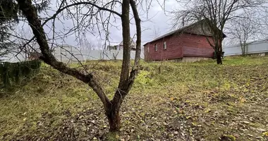 Haus in Bialarucki siel ski Saviet, Weißrussland