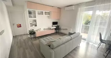 3 room apartment in Tatabanyai jaras, Hungary