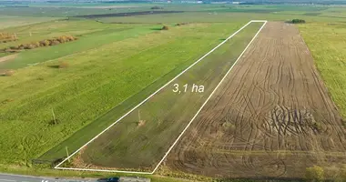 Plot of land in Sudmantai, Lithuania